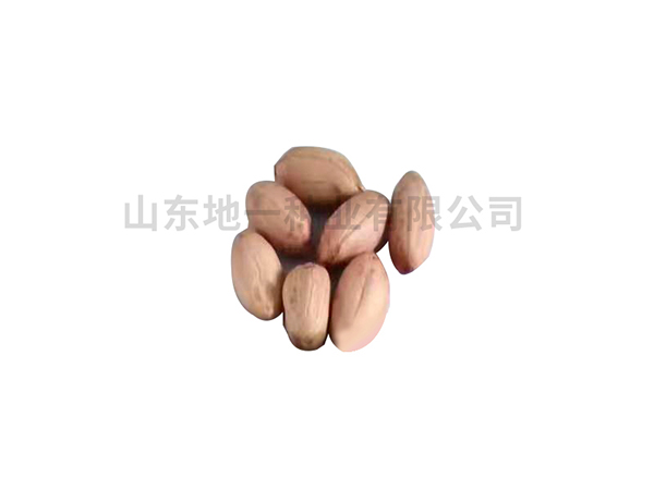 濰花25號(hào)花生種，有哪些栽培技巧